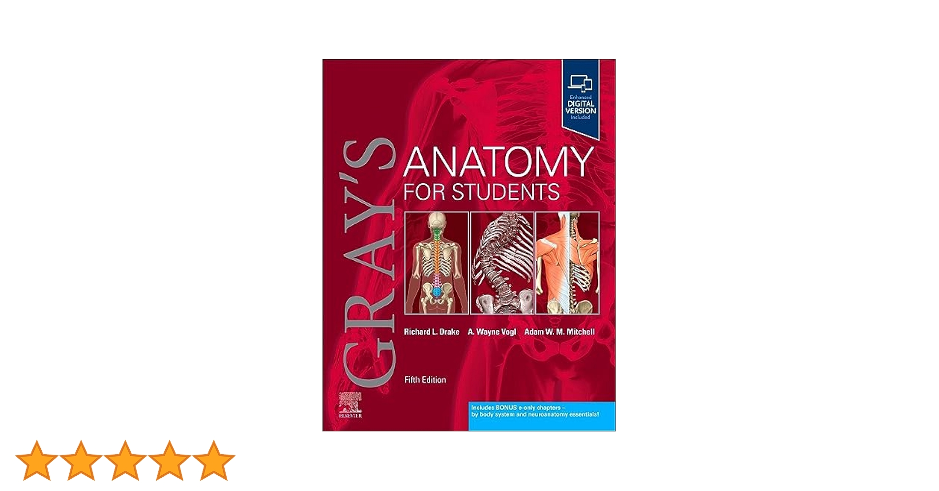 GRAY'S ANATOMY FOR STUDENTS 第四版 Gray's Anatomy for Students International Edition - Edition